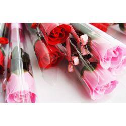 ideas regalos san valentin 14 de febrero 2017 mayoreo mexico guadalajara moda