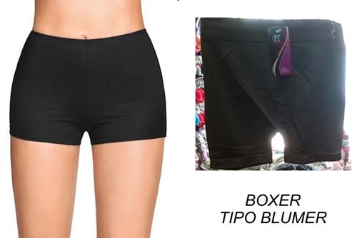 ropa interior blumer shorts microfibra mayoreo mexico guadalajara moda